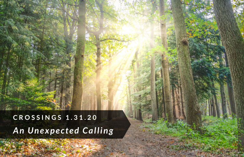 Crossings: An Unexpected Calling
